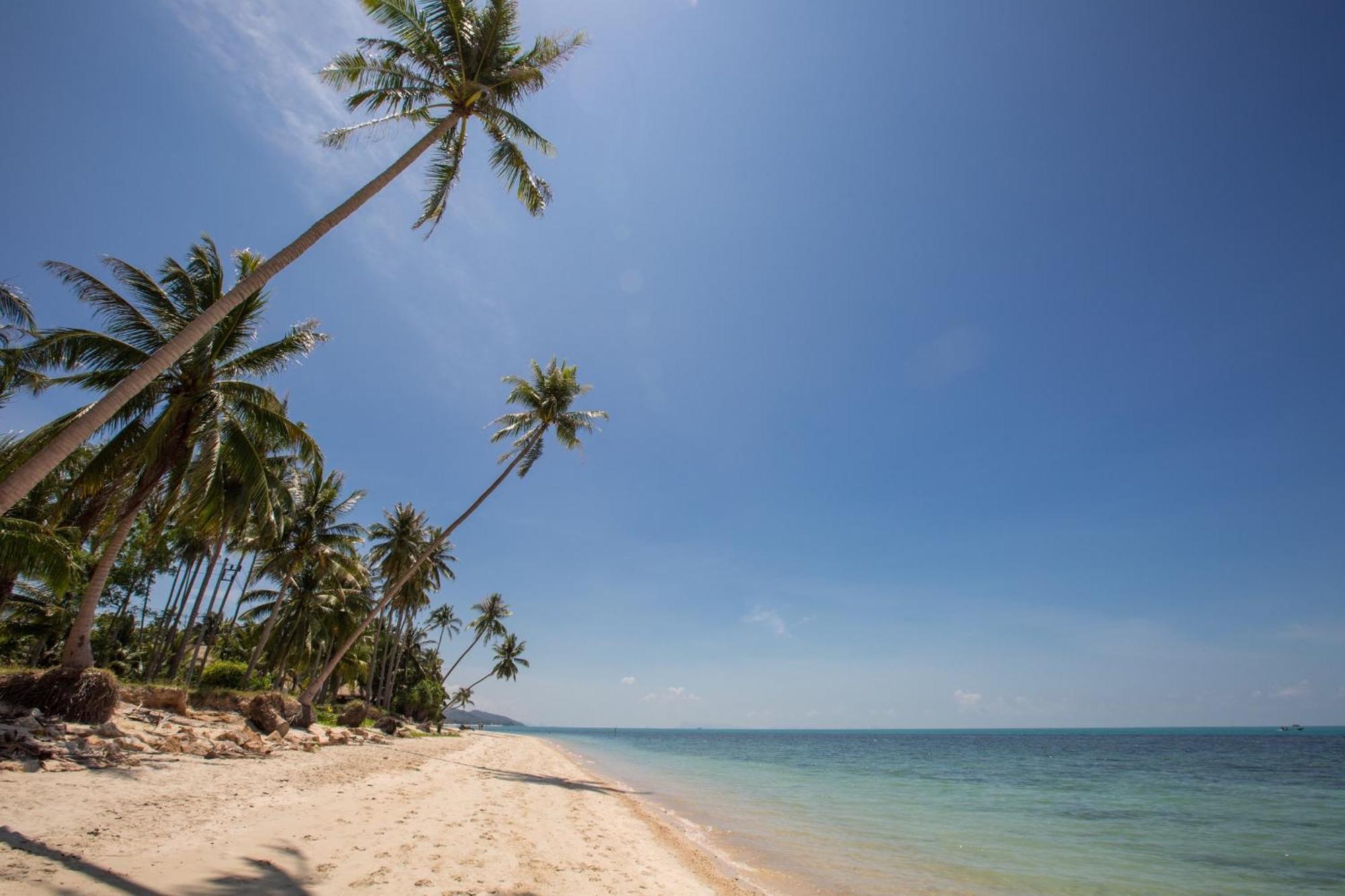 Sea&Sky Beach Resort Mae Nam Exteriér fotografie